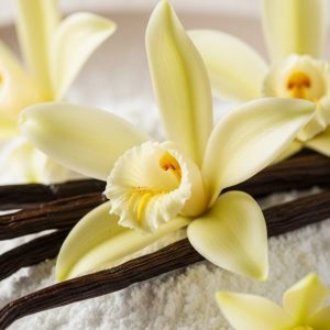 French Vanilla Fragrance